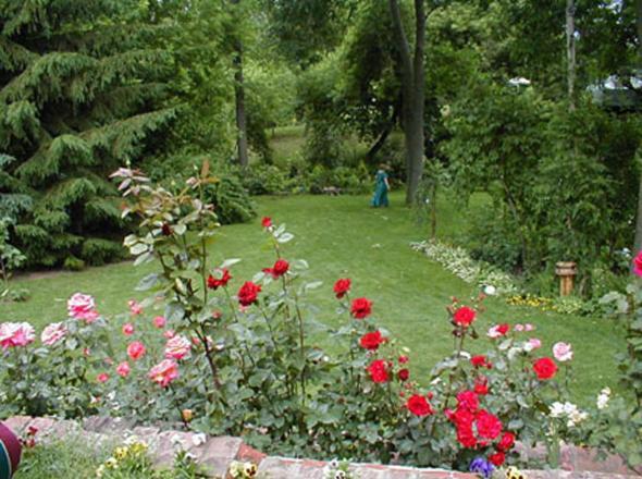 Dorchester House Bed & Breakfast Ниагарски водопад Екстериор снимка